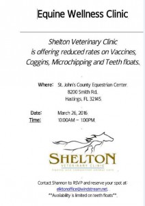 Equine Wellness Clinic