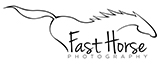Fast Horse Photography